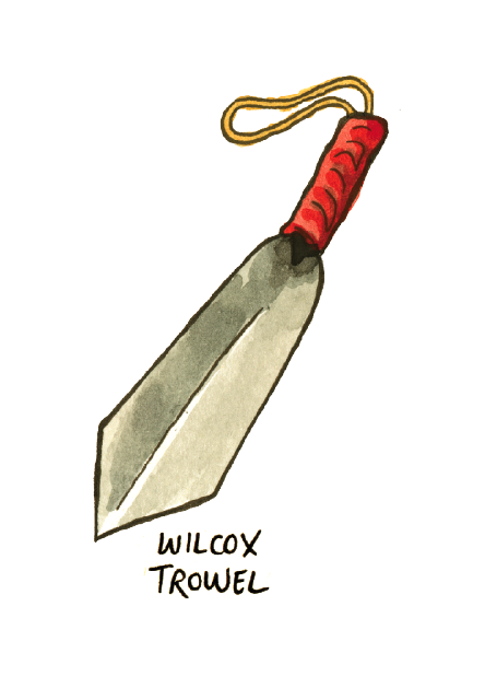 wilcox.png